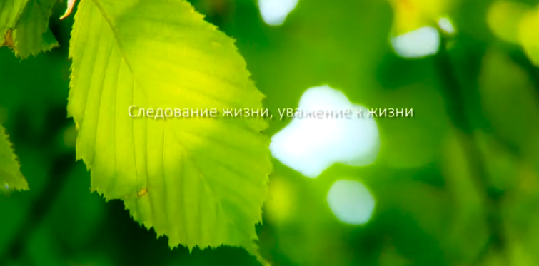 云顶集团app集团形象片（русский）