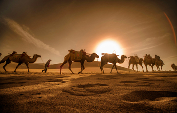 云顶集团app国际 “一带一路”倡议培训平台